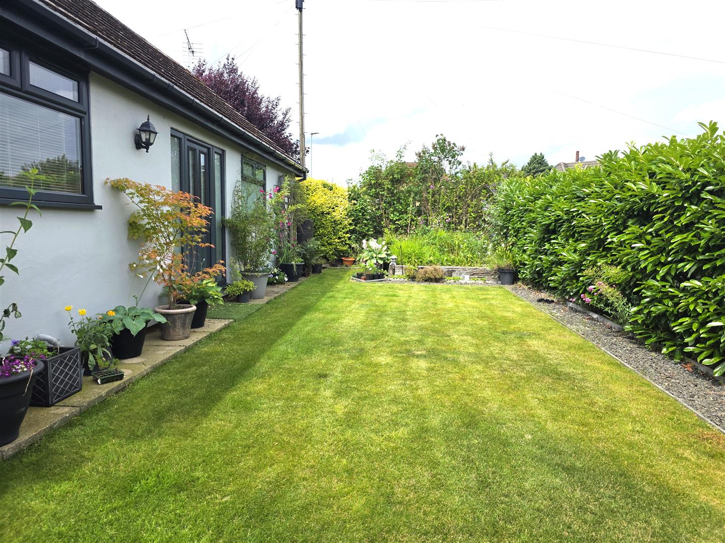 Front Garden